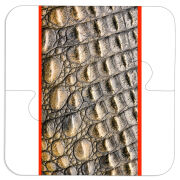 Магнитные фотопазлы 100 на 100 