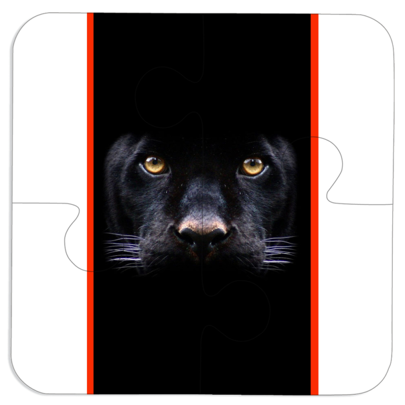 Магнитные фотопазлы 100 на 100 