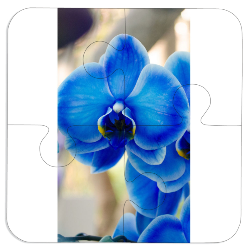 Магнитные фотопазлы 100 на 100 