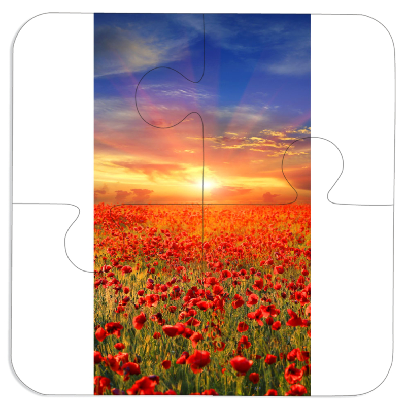 Магнитные фотопазлы 100 на 100 