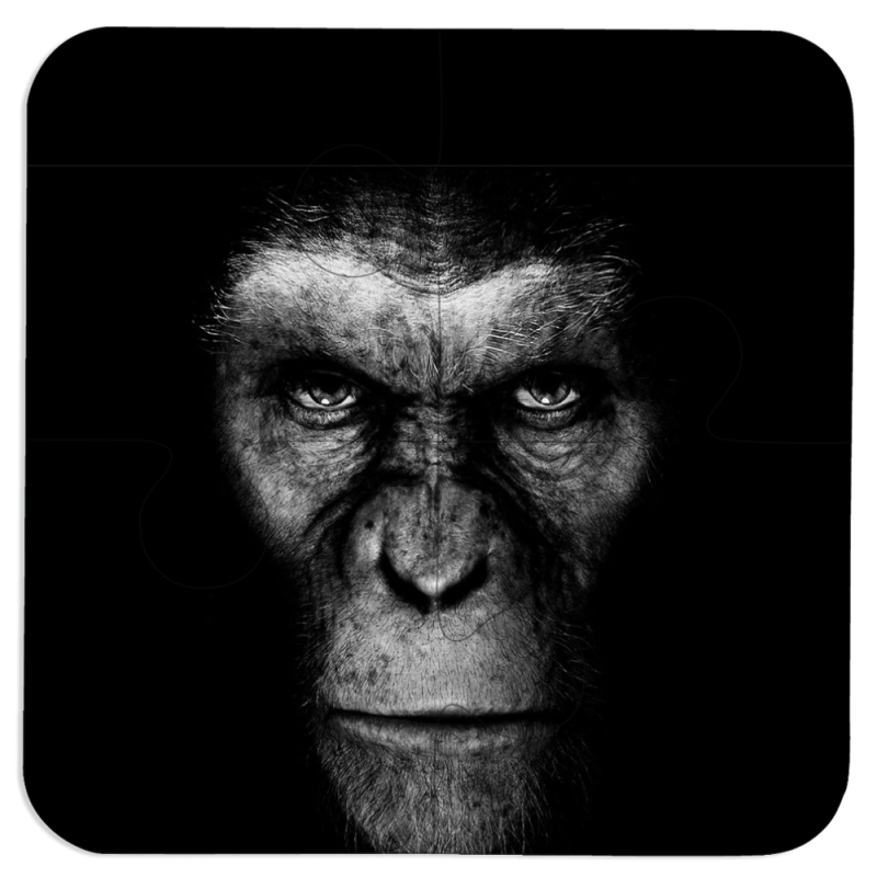 Магнитные фотопазлы 100 на 100 