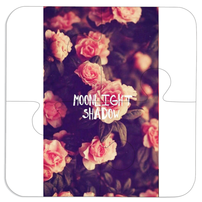 Магнитные фотопазлы 100 на 100 