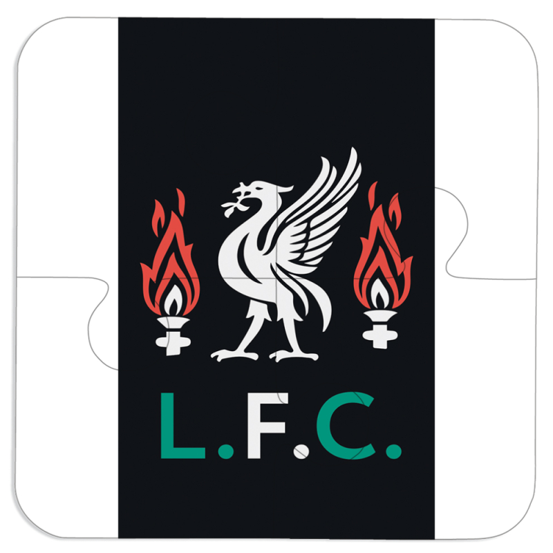 Магнитные фотопазлы 100 на 100 L. F. C.