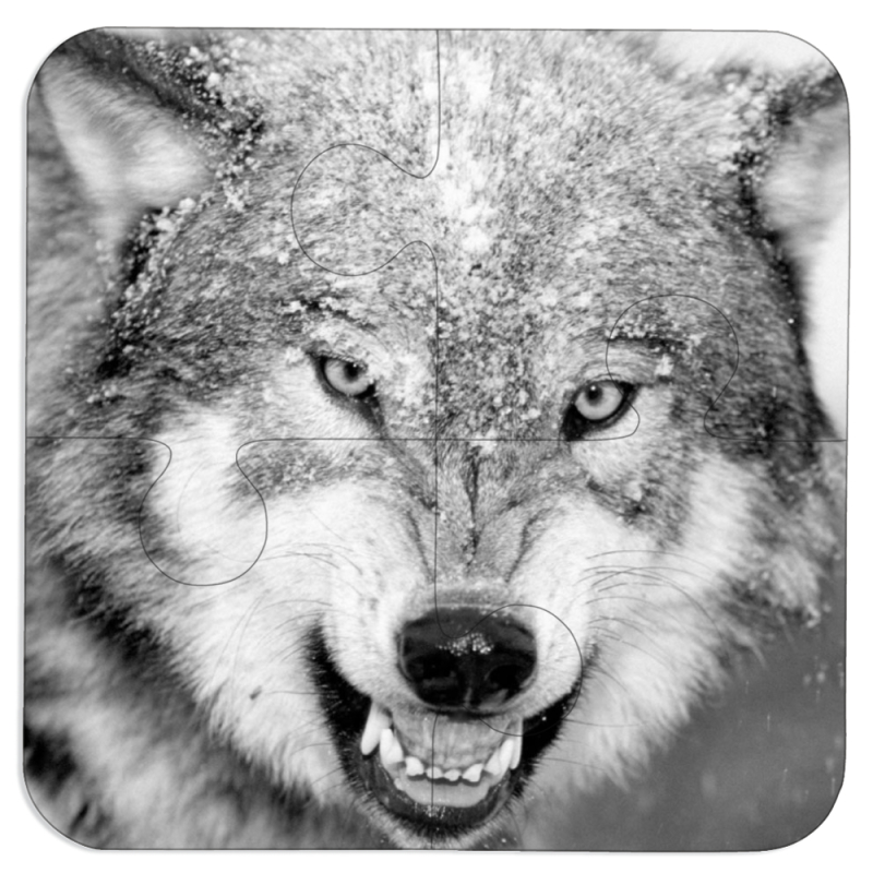 Магнитные фотопазлы 100 на 100 