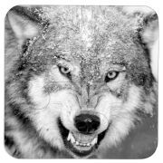 Магнитные фотопазлы 100 на 100 