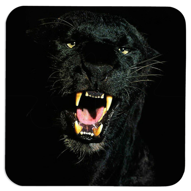 Магнитные фотопазлы 100 на 100 