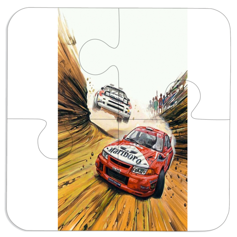 Магнитные фотопазлы 100 на 100 Rally