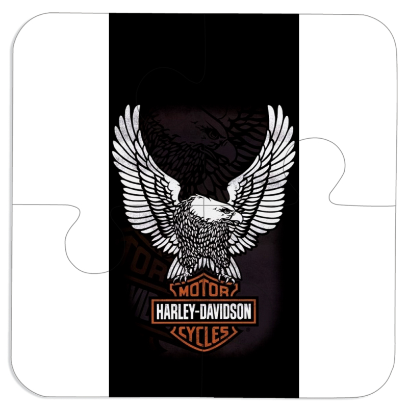 Магнитные фотопазлы 100 на 100 Harley Davidson and eagle