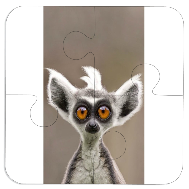 Магнитные фотопазлы 100 на 100 