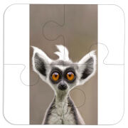 Магнитные фотопазлы 100 на 100 