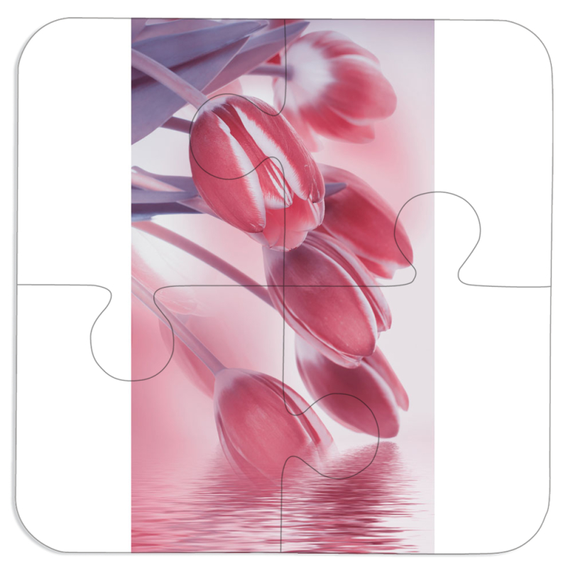 Магнитные фотопазлы 100 на 100 