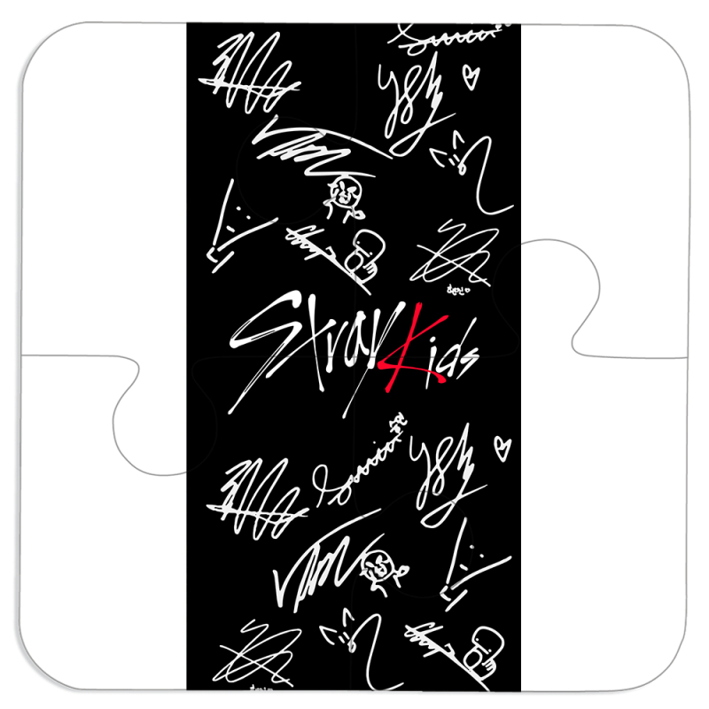 Магнитные фотопазлы 100 на 100 Stray Kids автограф