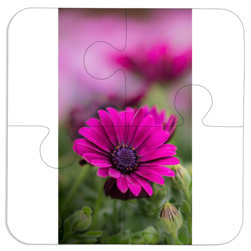 Магнитные фотопазлы 100 на 100 