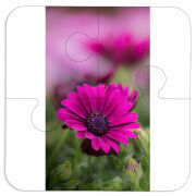 Магнитные фотопазлы 100 на 100 