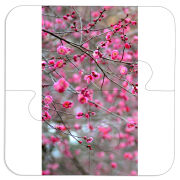 Магнитные фотопазлы 100 на 100 