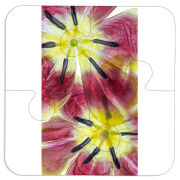 Магнитные фотопазлы 100 на 100 