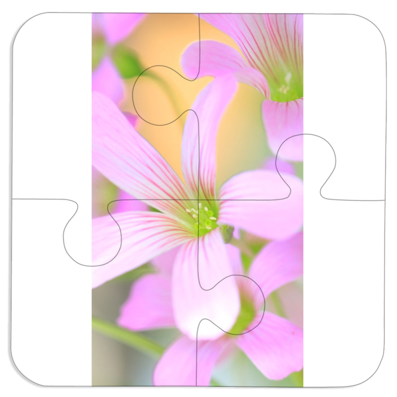 Магнитные фотопазлы 100 на 100 