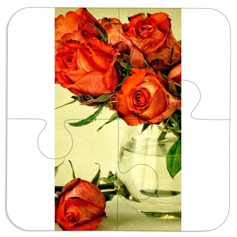 Магнитные фотопазлы 100 на 100 