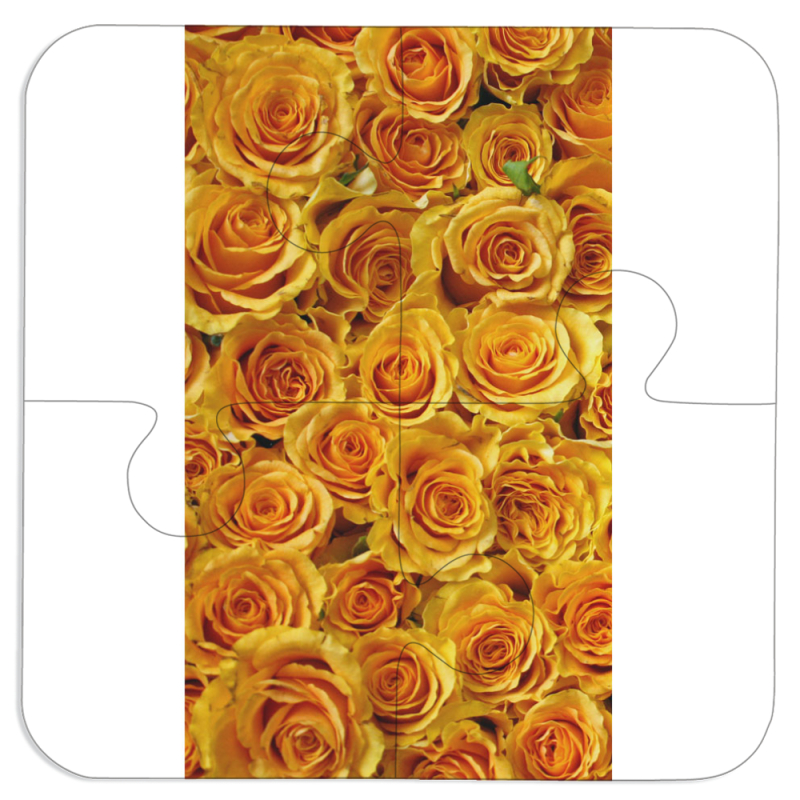 Магнитные фотопазлы 100 на 100 