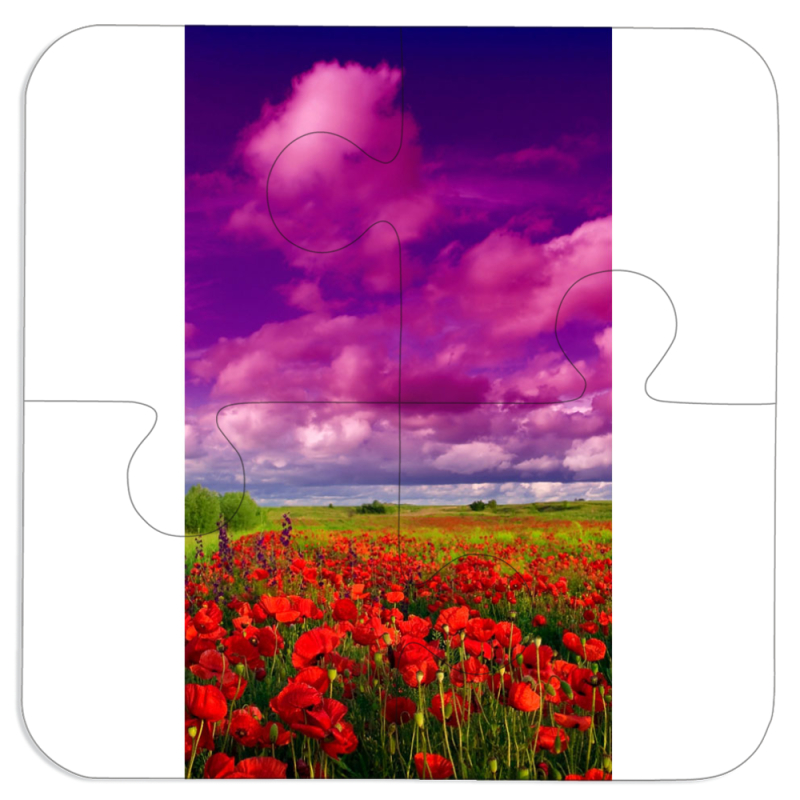 Магнитные фотопазлы 100 на 100 