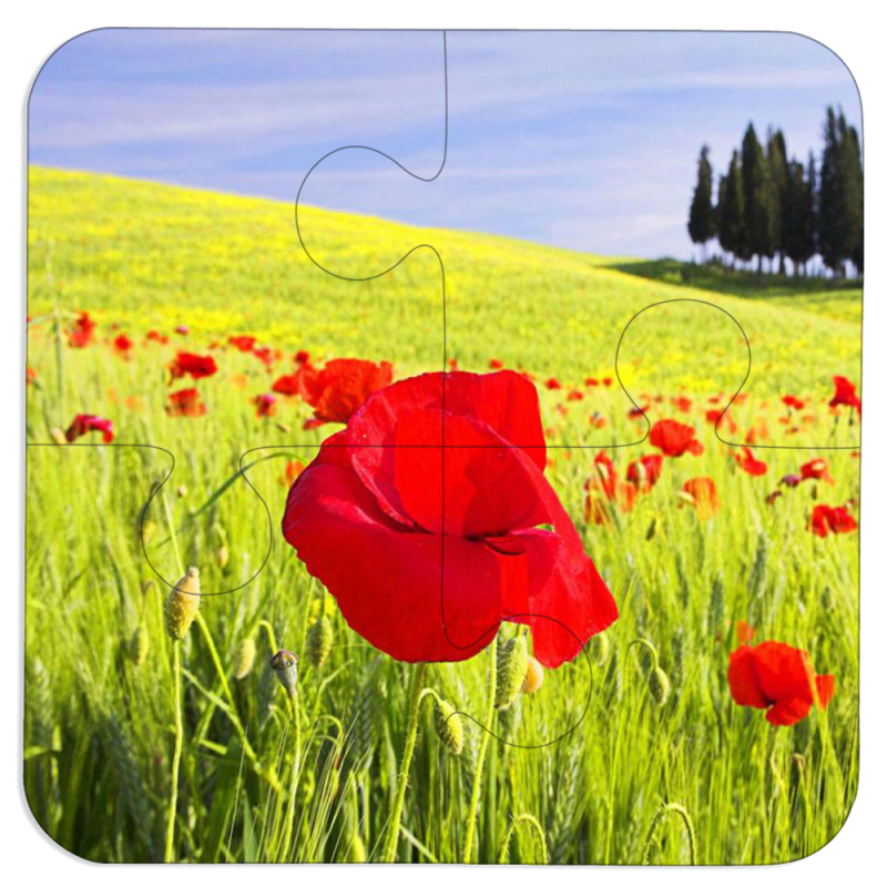 Магнитные фотопазлы 100 на 100 Мак