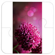 Магнитные фотопазлы 100 на 100 