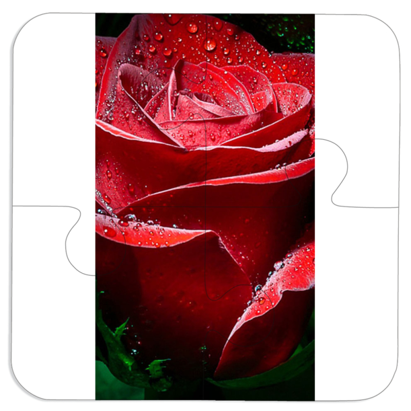 Магнитные фотопазлы 100 на 100 