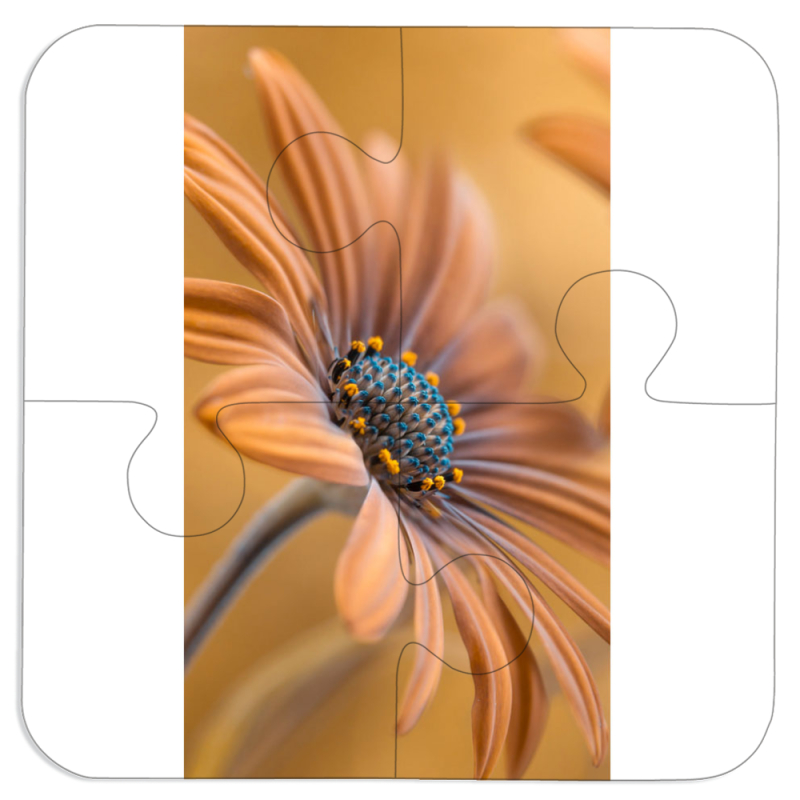 Магнитные фотопазлы 100 на 100 