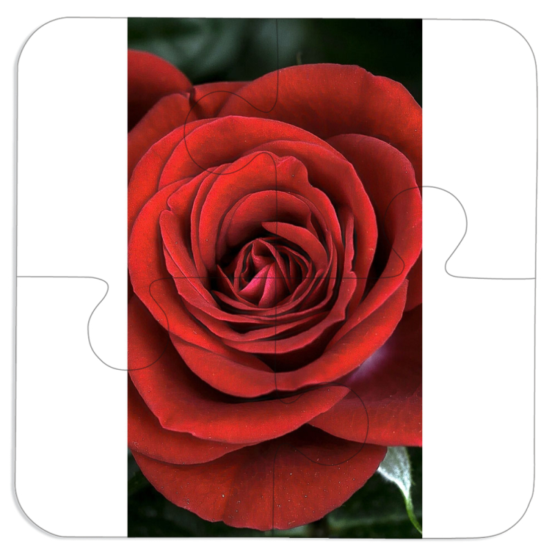 Магнитные фотопазлы 100 на 100 