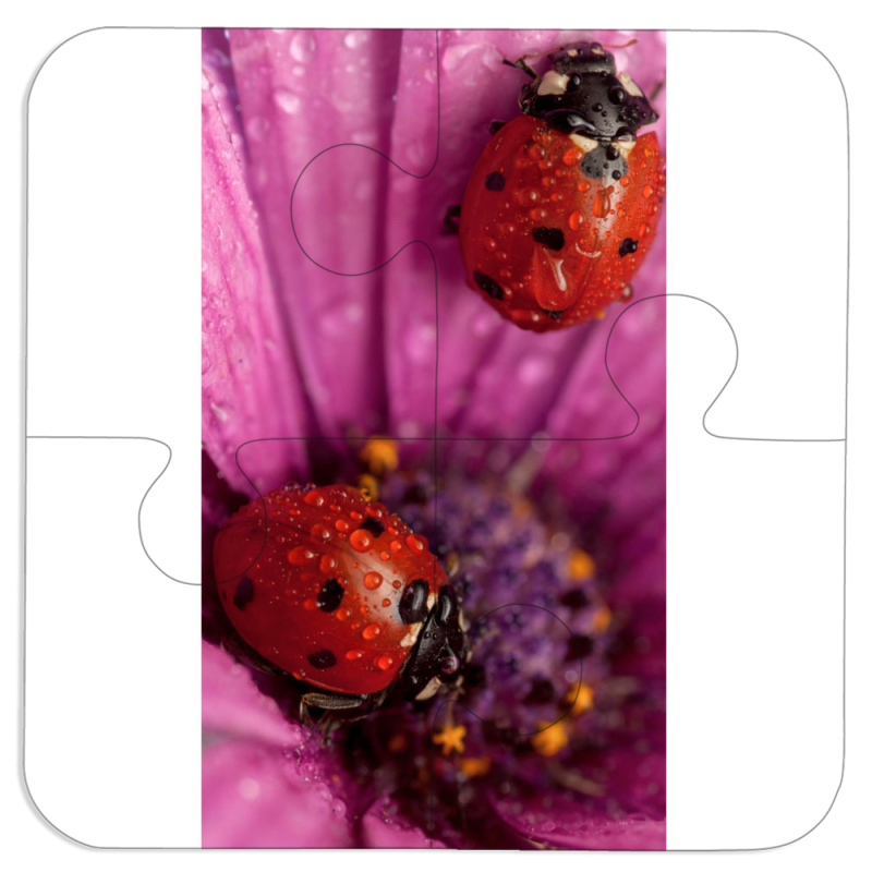 Магнитные фотопазлы 100 на 100 