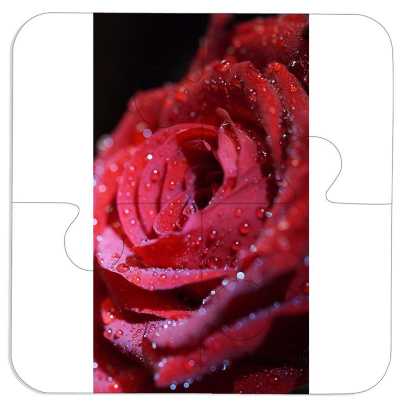 Магнитные фотопазлы 100 на 100 