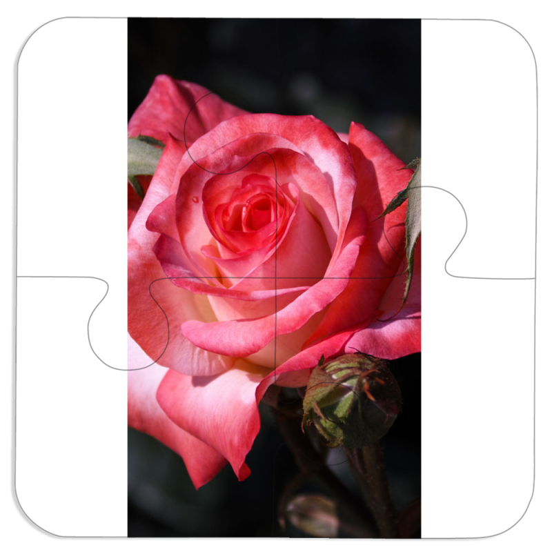 Магнитные фотопазлы 100 на 100 