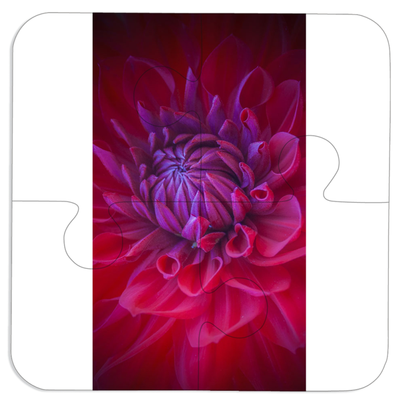 Магнитные фотопазлы 100 на 100 