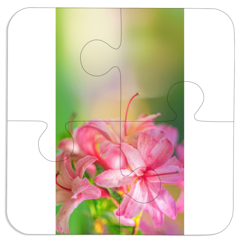 Магнитные фотопазлы 100 на 100 