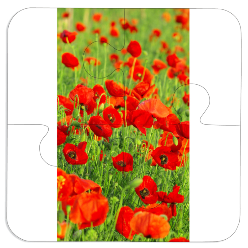 Магнитные фотопазлы 100 на 100 