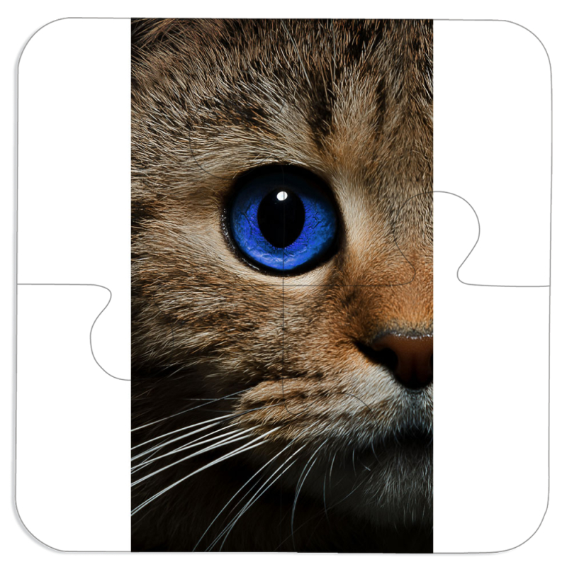 Магнитные фотопазлы 100 на 100 Cat's Eye