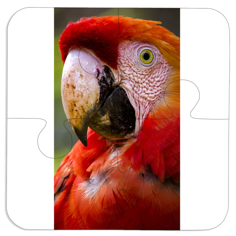 Магнитные фотопазлы 100 на 100 