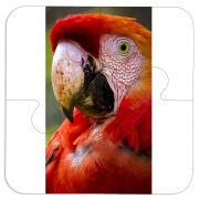 Магнитные фотопазлы 100 на 100 