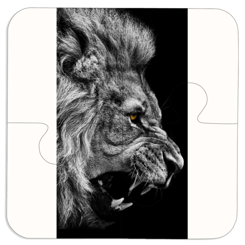 Магнитные фотопазлы 100 на 100 