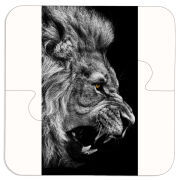 Магнитные фотопазлы 100 на 100 