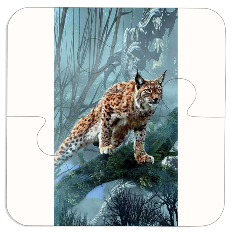 Магнитные фотопазлы 100 на 100 