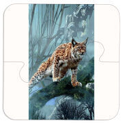 Магнитные фотопазлы 100 на 100 