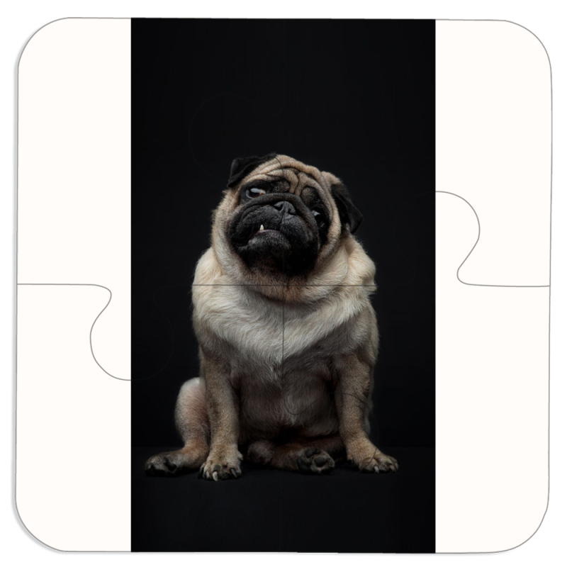 Магнитные фотопазлы 100 на 100 