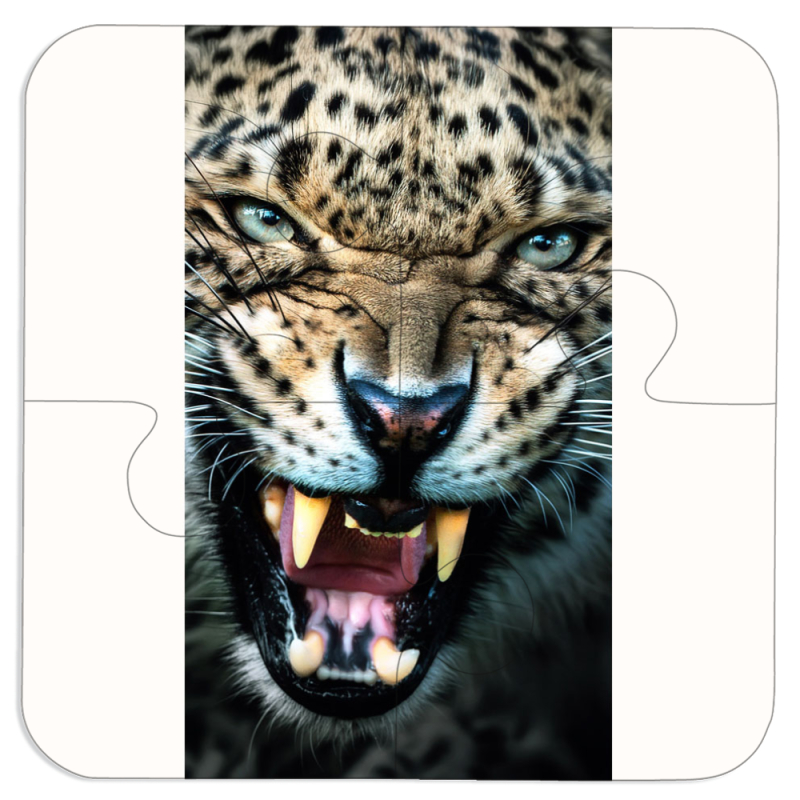 Магнитные фотопазлы 100 на 100 