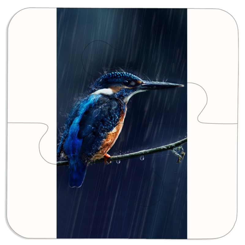 Магнитные фотопазлы 100 на 100 