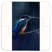 Магнитные фотопазлы 100 на 100 