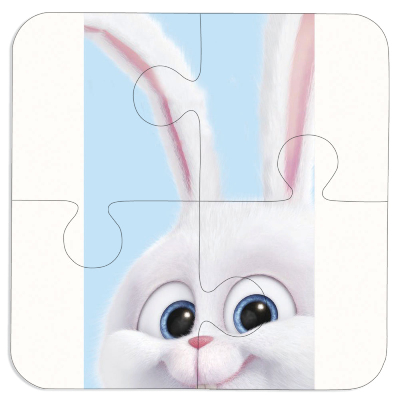 Магнитные фотопазлы 100 на 100 Rabbit
