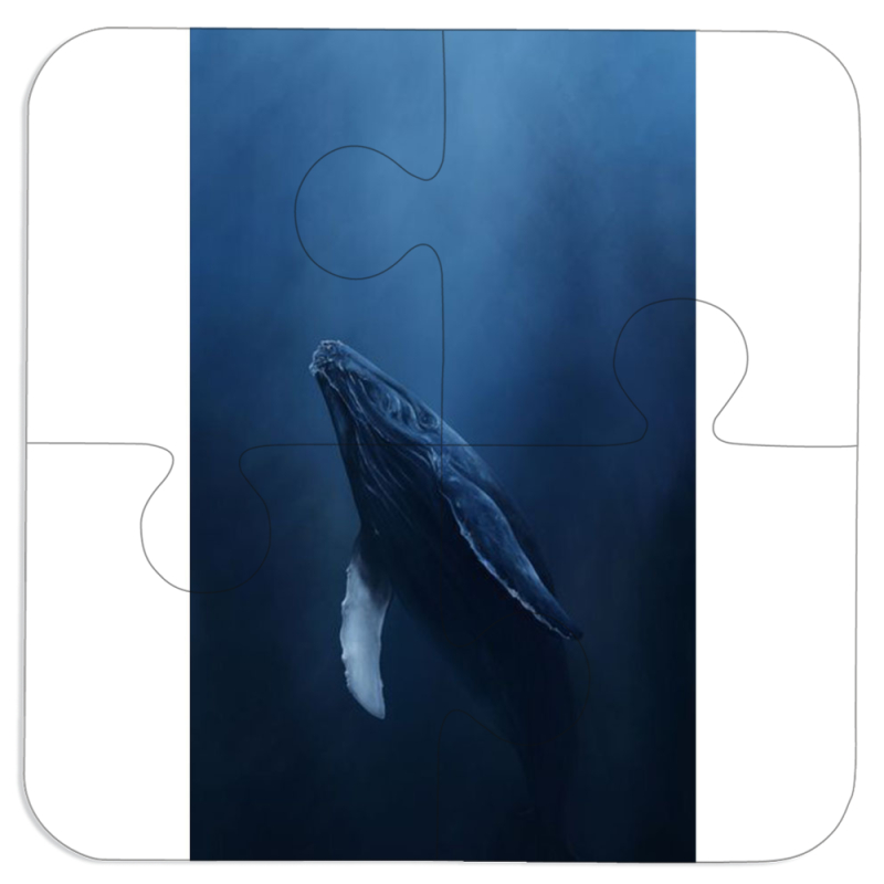 Магнитные фотопазлы 100 на 100 