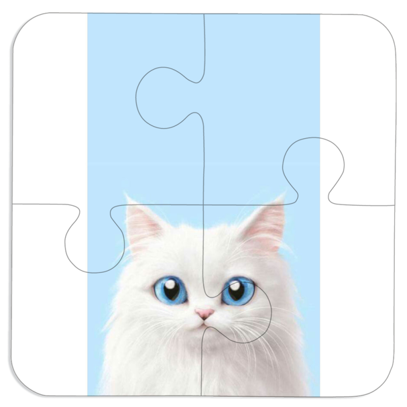 Магнитные фотопазлы 100 на 100 