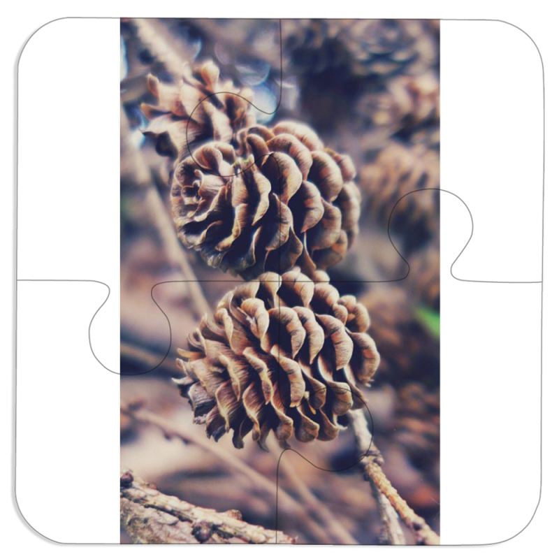 Магнитные фотопазлы 100 на 100 